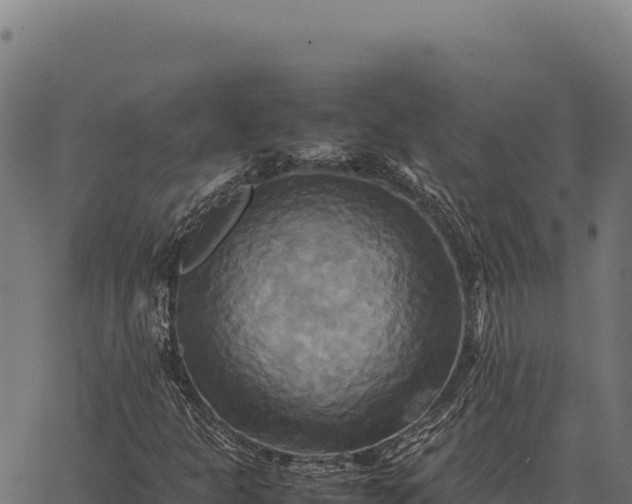 X0000066521301200603311744