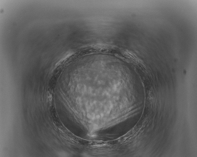 X0000066521302200603311744