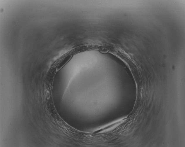 X0000066521303200603311744