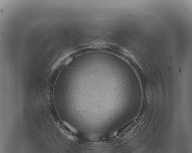 X0000066521304200603311744