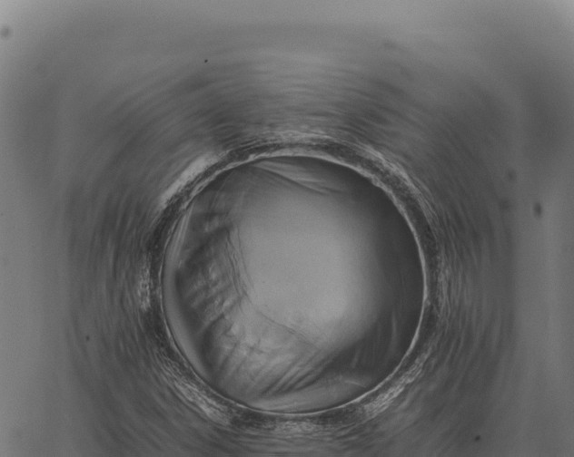 X0000066521306200603311744