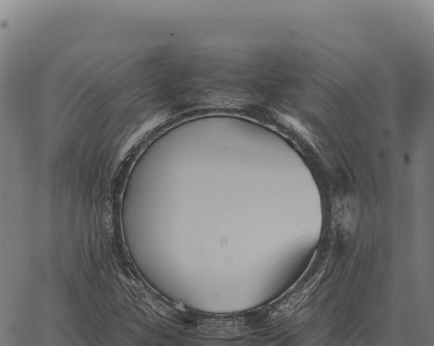 X0000066521307200603311744