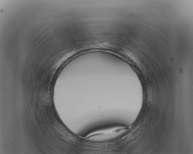 X0000066521308200603311744