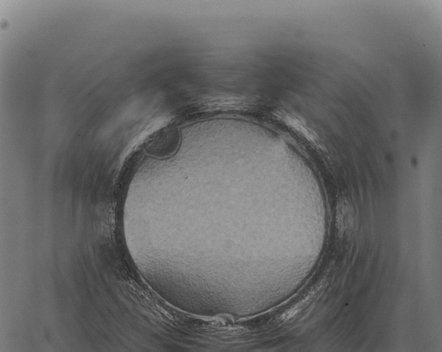 X0000066521309200603311744