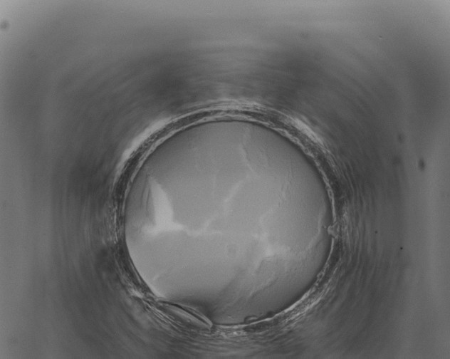 X0000066521310200603311744