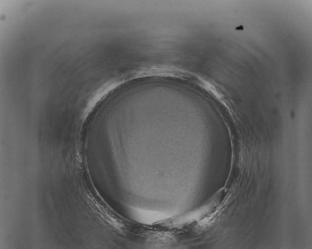 X0000066521312200603311744