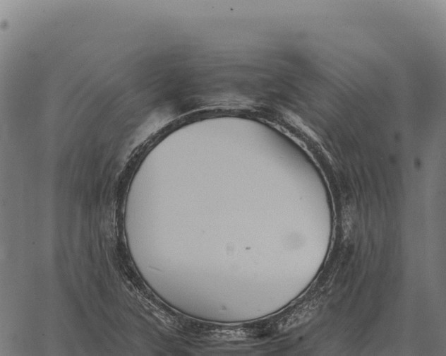 X0000066521315200603311744