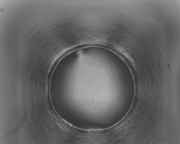 X0000066521316200603311744