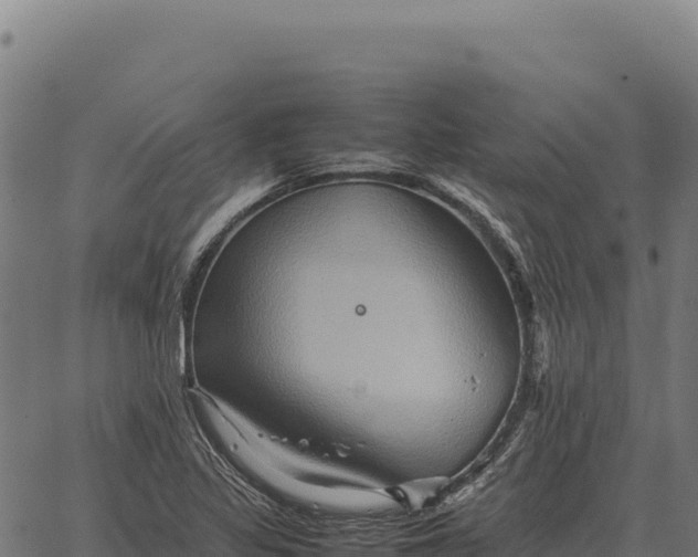 X0000066521317200603311744