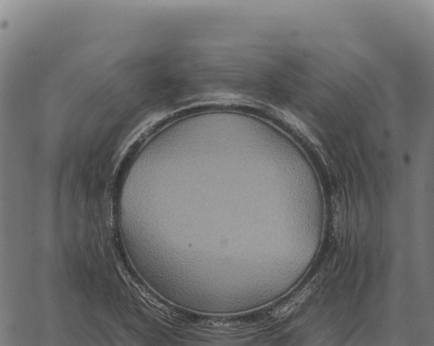 X0000066521318200603311744