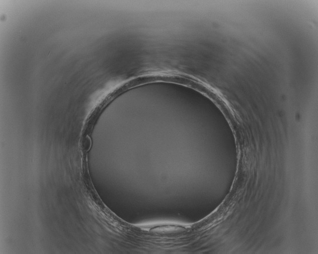 X0000066521319200603311744