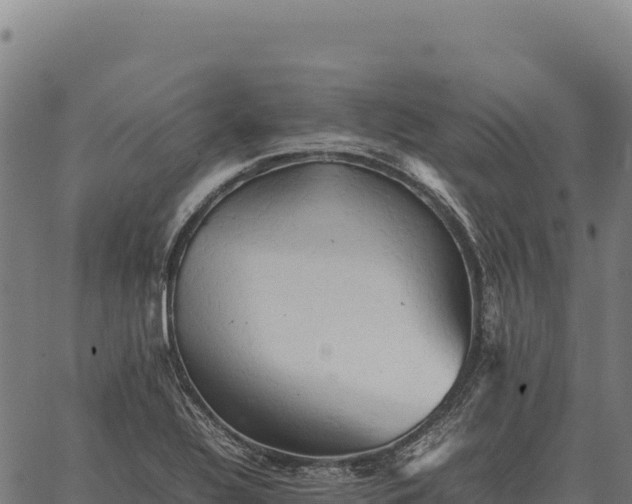 X0000066521320200603311744