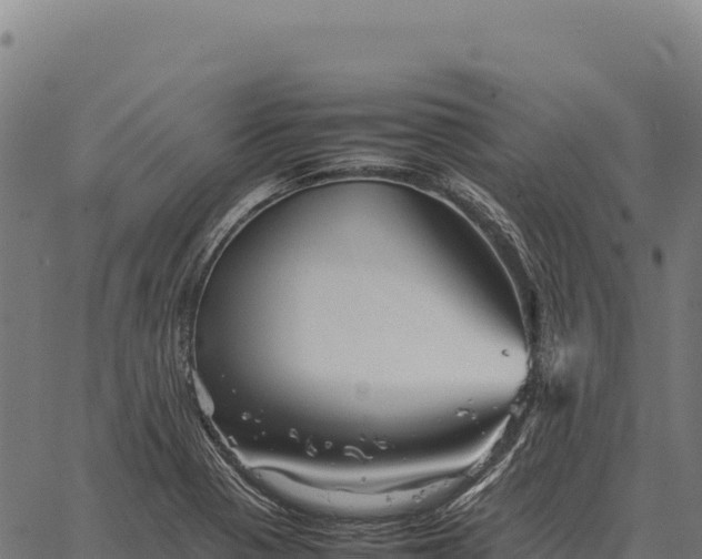 X0000066521321200603311744