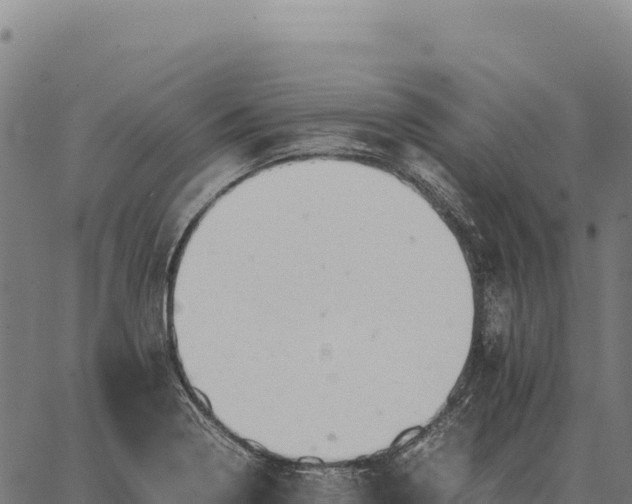 X0000066521322200603311744