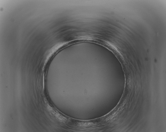 X0000066521323200603311745