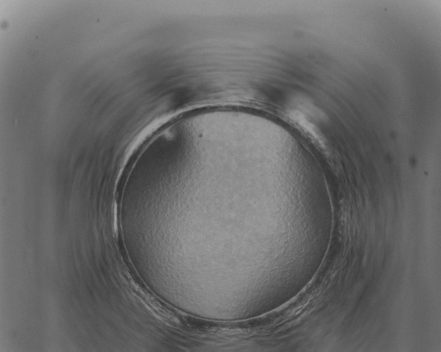 X0000066521324200603311745