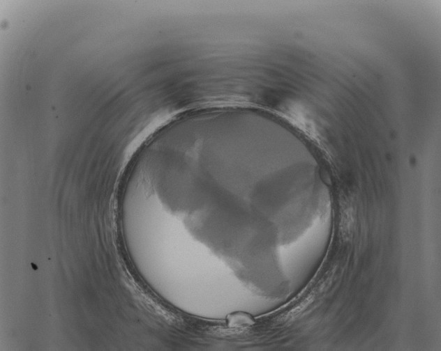 X0000066521325200603311745