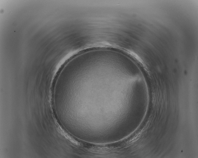 X0000066521326200603311745