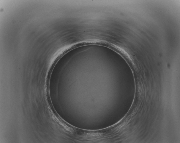 X0000066521327200603311745