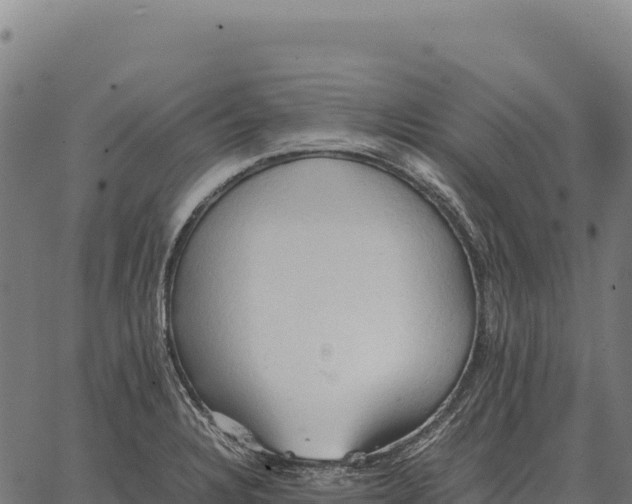 X0000066521328200603311745