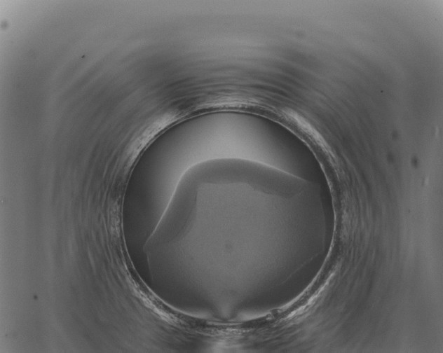 X0000066521329200603311745