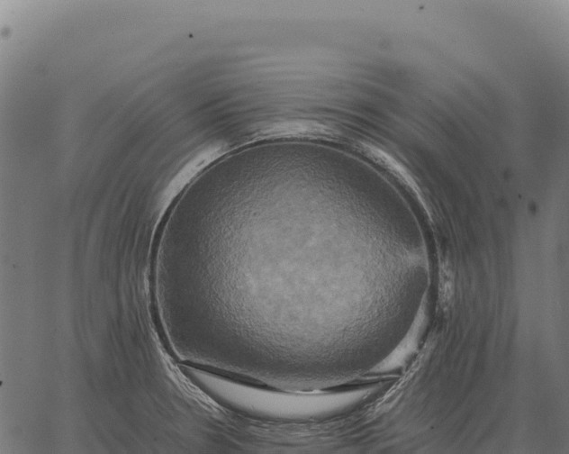 X0000066521330200603311745