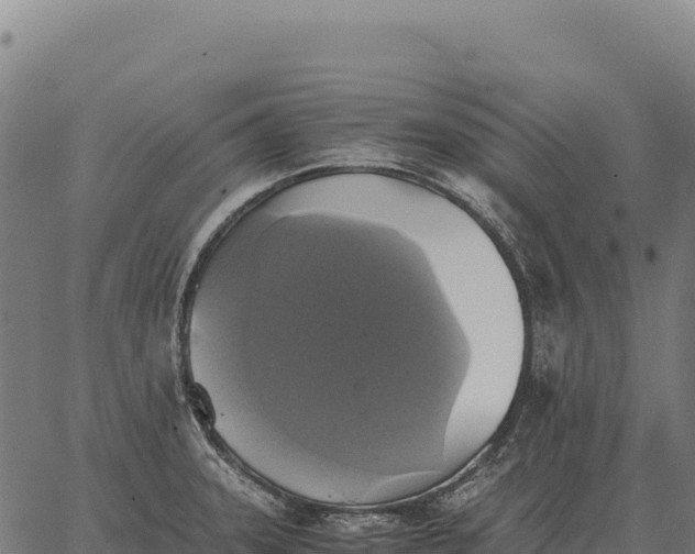 X0000066521331200603311745