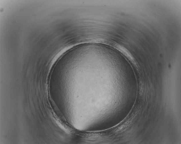 X0000066521332200603311745