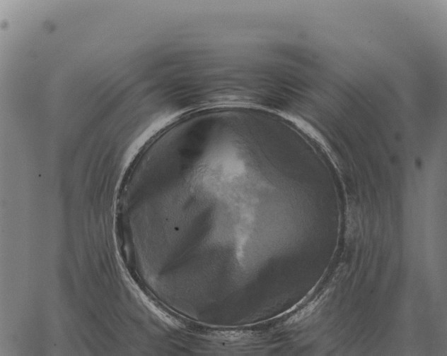 X0000066521333200603311745