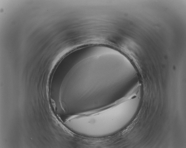 X0000066521334200603311745