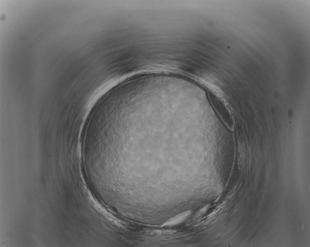 X0000066521335200603311745