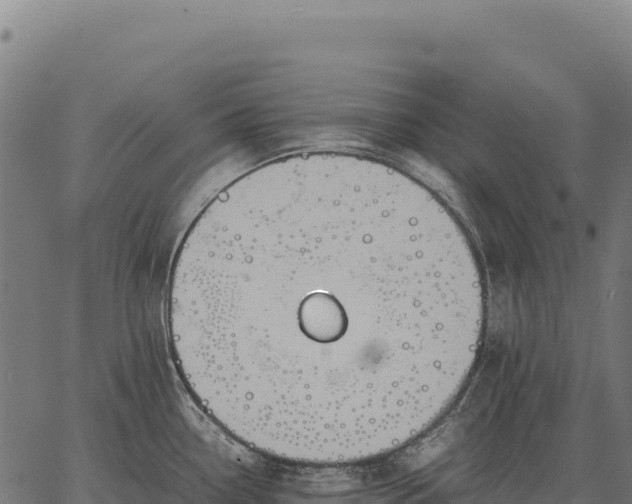 X0000066521338200603311745