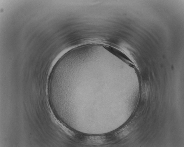 X0000066521339200603311745