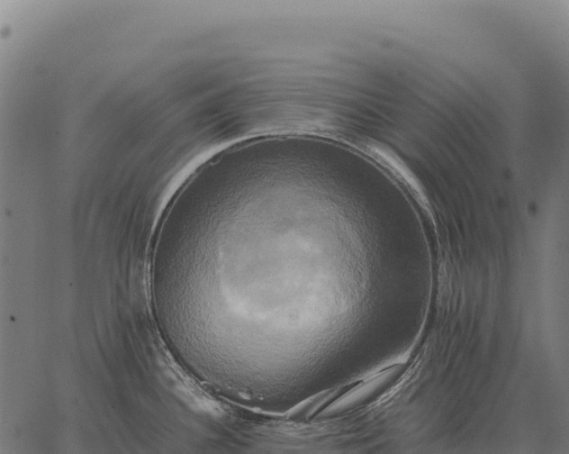 X0000066521340200603311745