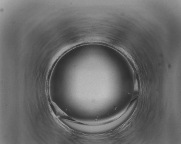 X0000066521342200603311745