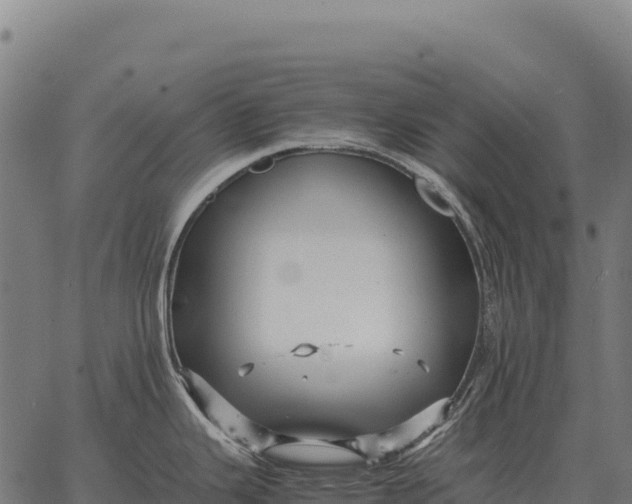 X0000066521343200603311745