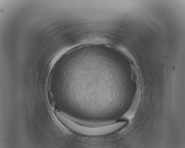 X0000066521344200603311745