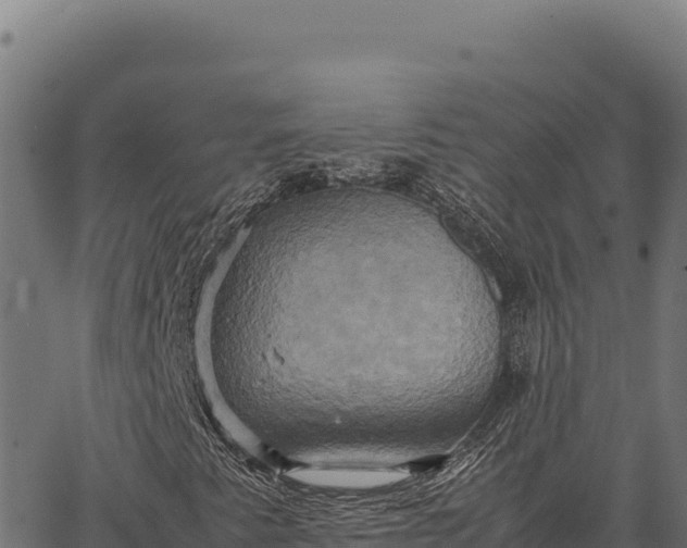 X0000066521345200603311744