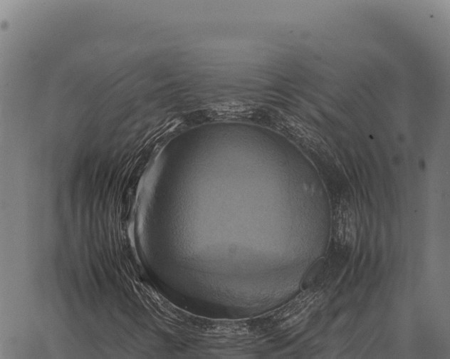 X0000066521346200603311744