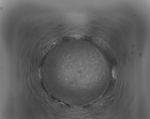 X0000066521347200603311744