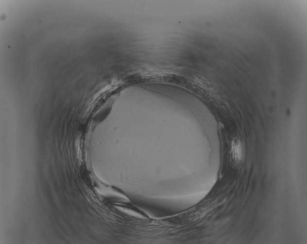 X0000066521348200603311744