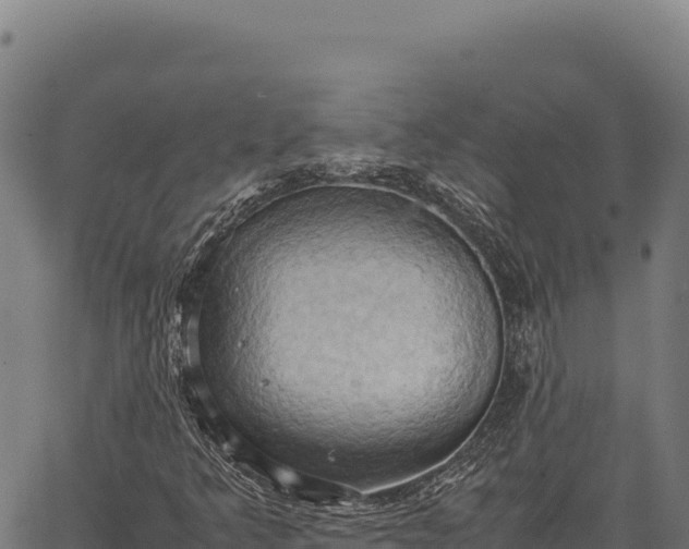 X0000066521349200603311744