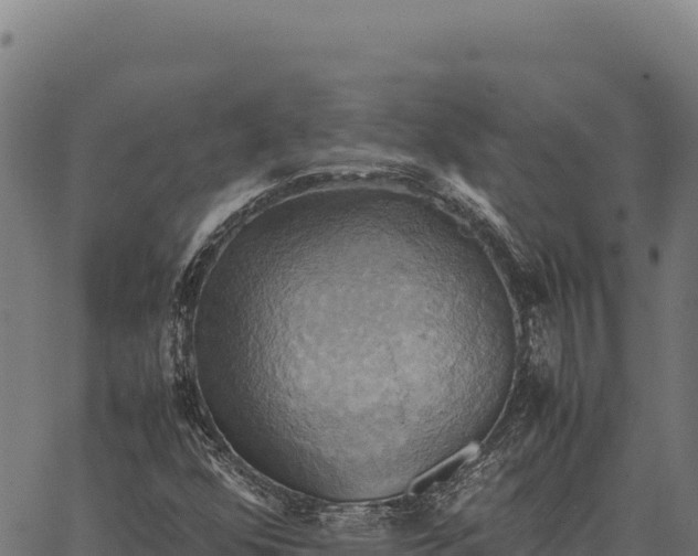 X0000066521352200603311744