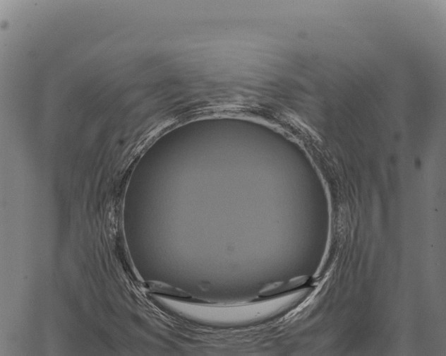 X0000066521353200603311744