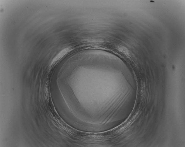 X0000066521354200603311744