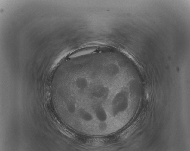 X0000066521355200603311744