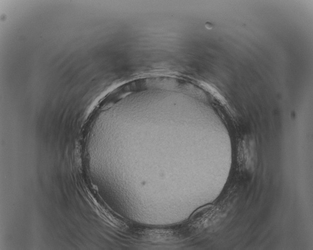 X0000066521356200603311744