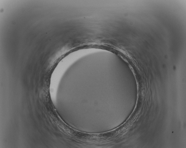 X0000066521359200603311744