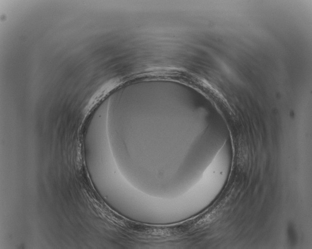 X0000066521362200603311744