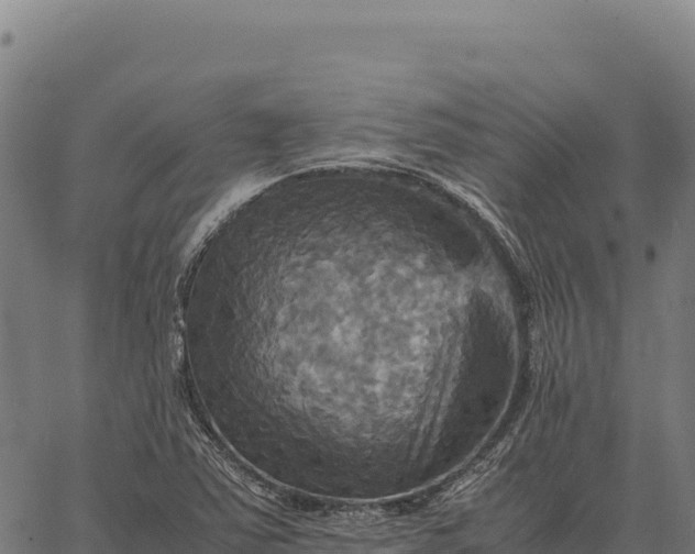 X0000066521363200603311744